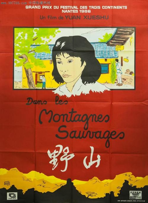 办假的中非驾驶证